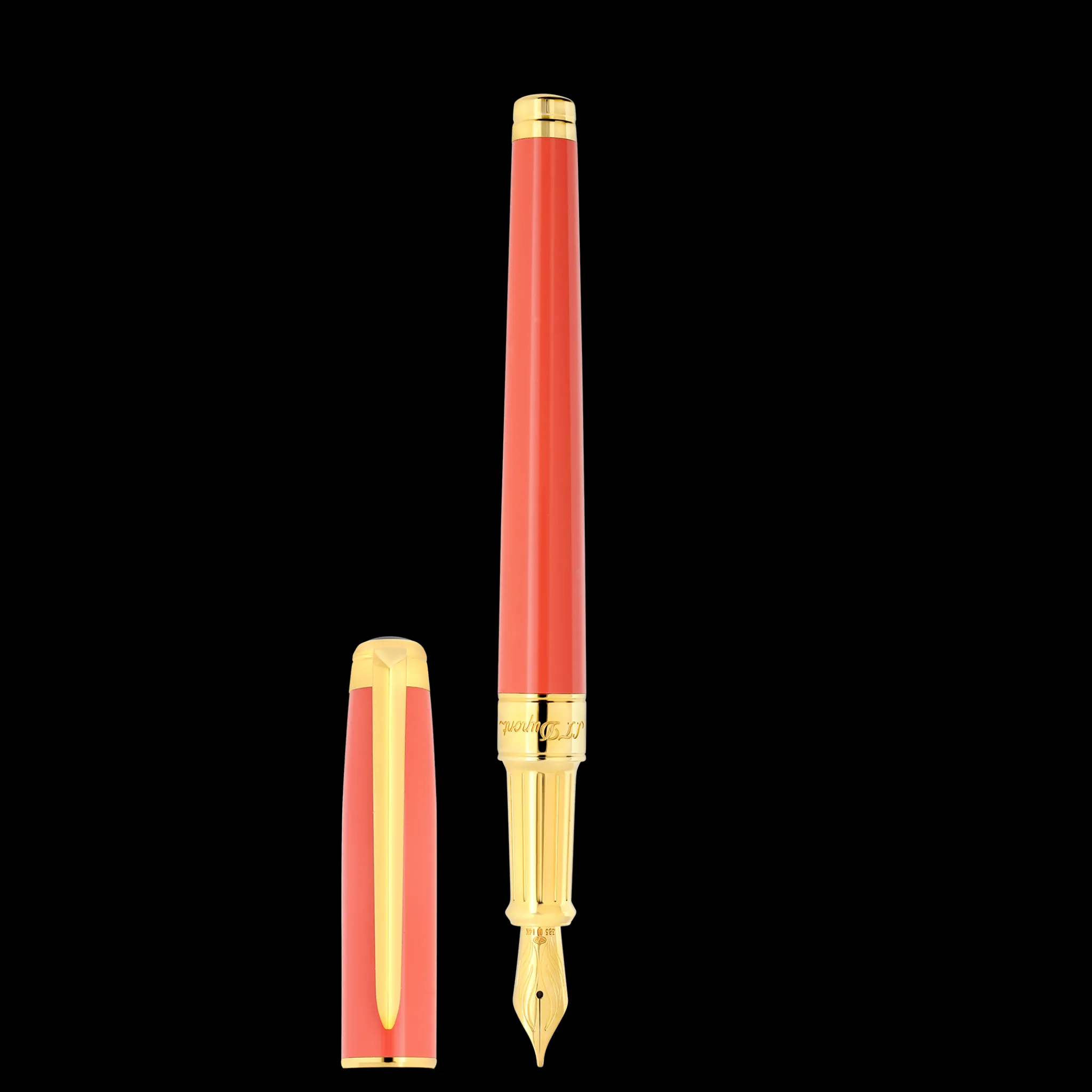 S.T.Dupont line d eternity- Plume